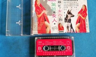 篱笆女人和狗主题曲