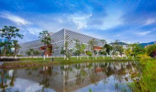 南方科技大学是985还是211