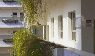 湖北省艺术职业学院