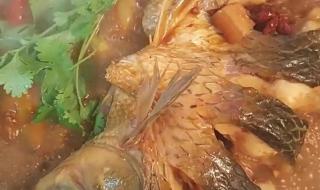草鱼怎么做好吃视频