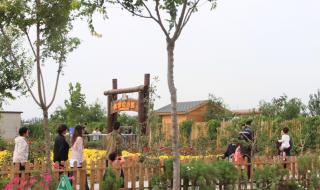 河北省沧州市河间市
