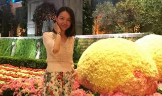 安徽卫视超级新闻场主持人