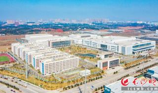 实探比亚迪长沙工厂
